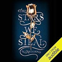 Algopix Similar Product 14 - The Stars We Steal
