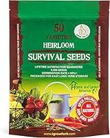 Algopix Similar Product 2 - Heirloom Vegetable Seeds Non GMO