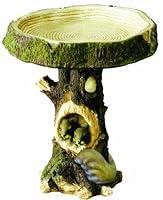 Algopix Similar Product 4 - Kelkay Woodland Squirrel Bird Bath