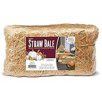 Algopix Similar Product 4 - FloraCraft Straw Bale 12 Inch x 12 Inch