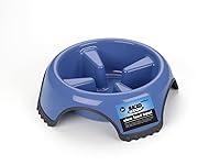 Algopix Similar Product 3 - JW Skid Stop Slow Feed Bowl  Medium