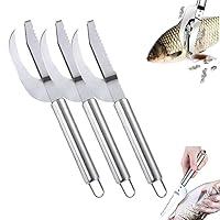 Algopix Similar Product 2 - Granico Scolarshih Fish Scaler Fish