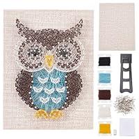 Algopix Similar Product 15 - WEBEEDY DIY String Art Kit Owl Craft