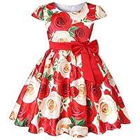 Algopix Similar Product 10 - Girl Dress Kids Ruffles Lace Party