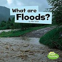 Algopix Similar Product 11 - What Are Floods? (Wicked Weather)