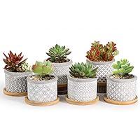 Algopix Similar Product 10 - T4U 25 Inch Cement Succulent Pot with