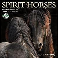 Algopix Similar Product 17 - Spirit Horses 2024 Wall Calendar by