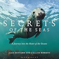Algopix Similar Product 7 - Secrets of the Seas A journey into the