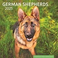 Algopix Similar Product 5 - German Shepherd 2025 Wall Calendar 