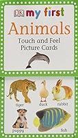 Algopix Similar Product 4 - My First Touch  Feel Picture Cards