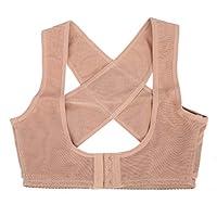 Algopix Similar Product 3 -  