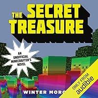 Algopix Similar Product 3 - The Secret Treasure