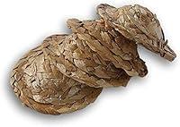 Algopix Similar Product 3 - Craft Decor Set of Four 4 Natural