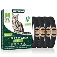 Algopix Similar Product 2 - 4 Pack Flea Collar for Cats Cat Flea