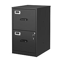 Algopix Similar Product 1 - BYNSOE 2 Drawer File Cabinet with Lock