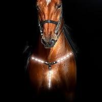 Algopix Similar Product 12 - Rural365 Reflective Horse Tack LED
