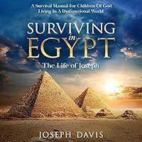 Algopix Similar Product 17 - Surviving in Egypt: The Life of Joseph