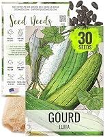 Algopix Similar Product 19 - Seed Needs 200 LoofahLuffa Seeds for