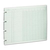 Algopix Similar Product 19 - WLJG108 - Wilson Jones Accounting Sheets