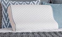 Algopix Similar Product 20 - Sealy Memory Foam Contour Pillow