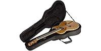 Algopix Similar Product 17 - SKB Thinline AEClassic Soft Case with
