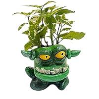 Algopix Similar Product 17 - Monster Pot Planter Flower pot head Air