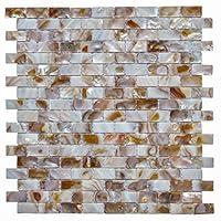Algopix Similar Product 6 - Art3d 10Piece Mother of Pearl Shell