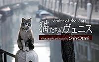 Algopix Similar Product 7 - The Cats of Venice (Japanese Edition)