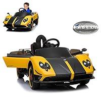 Algopix Similar Product 6 - Pagani Zonda R Roadster Electric Ride