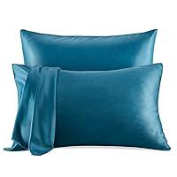 Algopix Similar Product 2 - SLEEP ZONE Satin Pillowcase for Hair
