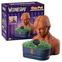 Algopix Similar Product 11 - Chia Pet Wednesday with Seed Pack