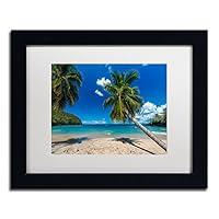 Algopix Similar Product 14 - Trademark Fine Art Martinique Artwork