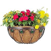 Algopix Similar Product 20 - Arcadia Emerald Series Wall Manger