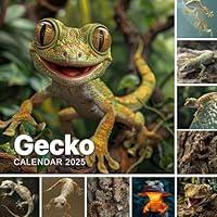 Algopix Similar Product 10 - Gecko Calendar 2025 365 Days of