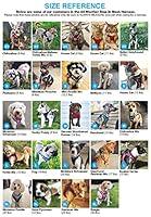 Algopix Similar Product 1 - Voyager StepIn Air Dog Harness  All