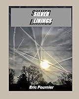 Algopix Similar Product 3 - Silver Linings (When Never Comes Book 2)
