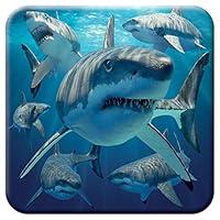 Algopix Similar Product 1 - 3D LiveLife Cork Coaster  Great White