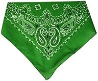 Algopix Similar Product 1 - CAROLINA HAVAHank Paisley Bandanna