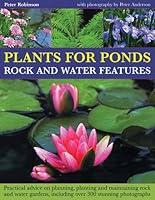 Algopix Similar Product 1 - Plants for Ponds Rock and Water