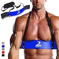Algopix Similar Product 20 - DMoose Arm Blaster for Biceps Triceps