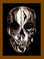 Algopix Similar Product 4 - Alexander McQueen: Savage Beauty