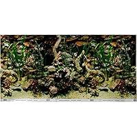 Algopix Similar Product 12 - Petco Brand  Petco Double Sided