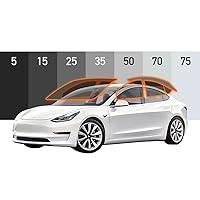 Algopix Similar Product 1 - DIYMotoShield Pro Premium Precut