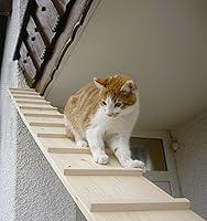Algopix Similar Product 10 - Elmato Cat Stairs, 4 m