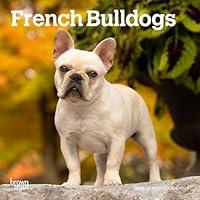 Algopix Similar Product 8 - French Bulldogs  2025 7 x 14 Inch