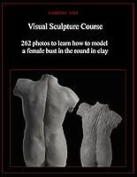 Algopix Similar Product 19 - Visual Sculpture Course 262 photos to