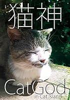 Algopix Similar Product 20 - Cat God  Photo Collection   Cats I