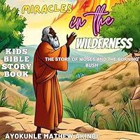 Algopix Similar Product 9 - Miracles in the Wilderness The Story