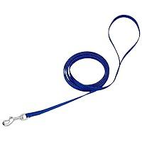 Algopix Similar Product 5 - Coastal Pet SinglePly Nylon Dog Leash