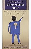 Algopix Similar Product 14 - The Vintage Book of African American